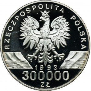 300.000 złotych 1993 Jaskółki