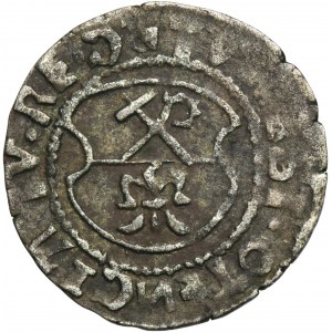 Arcibiskupstvo Riga, Wilhelm von Brandenburg, Koknese shell 1541 - RARE