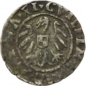 Arcibiskupstvo Riga, Wilhelm von Brandenburg, Koknese shell 1541 - RARE