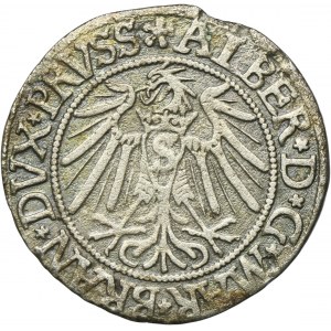 Knížecí Prusko, Albrecht Hohenzollern, Grosz Königsberg 1539 - PRVSS