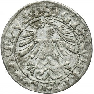 Sigismund II August, 1/2 Groschen Vilnius 1562 - L/LITV