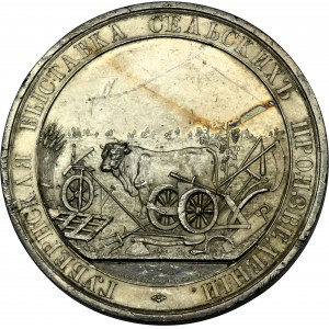 Rusko, medaile Zemská výstava venkovské tvořivosti 1881-1894 - VELMI ZRADKÁ, STŘÍBRNÁ