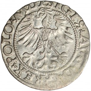 Sigismund II August, Halfgroat Vilnius 1565 - L/LITV