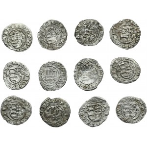 Set, Hungary, Matthias II and Ferdinand II, Denarius Kremnitz (12 pcs.)