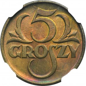 5 groszy 1923 Mosiądz - NGC MS66+