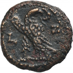 Provinční Řím, Egypt, Alexandrie, Probus, mince tetradrachma - ex. Avianovich