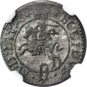 Sigismund III Vasa, Schilling Vilnius 1623 - NGC MS61