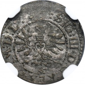 Žigmund III Vasa, Vilnius 1623 - NGC MS61