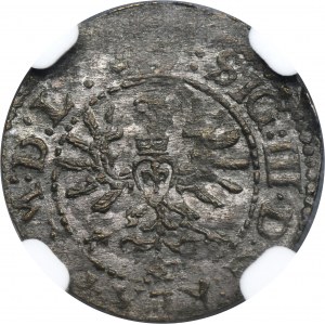 Sigismund III Vasa, Schilling Vilnius 1623 - NGC MS61