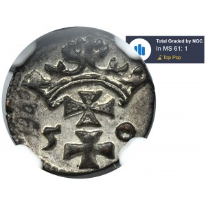 Zikmund II Augustus, Gdaňský denár 1550 - NGC MS61 - vzácný