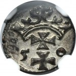 Zikmund II Augustus, Gdaňský denár 1550 - NGC MS61 - vzácný