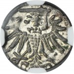 Sigismund II August, Denarius Danzig 1550 - NGC MS61 - RARE