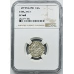 Zikmund II Augustus, půlpenny Vilnius 1549 - NGC MS64 - LI/LITVA