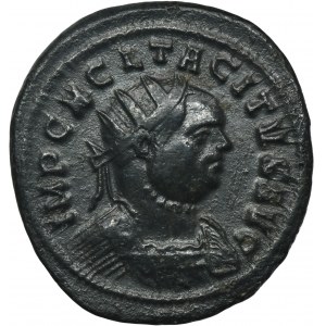 Římská říše, Tacitus, Antonín