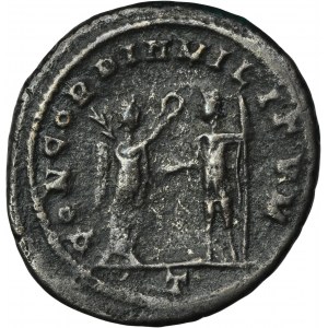 Roman Imperial, Florian, Antoninianus - RARE