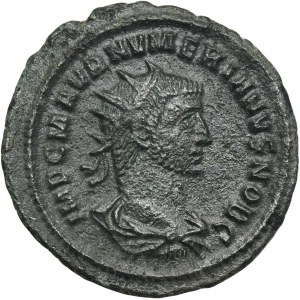 Roman Imperial, Numerian, Antoninianus