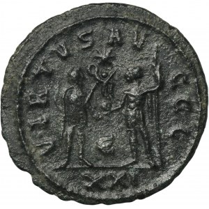 Roman Imperial, Numerian, Antoninianus