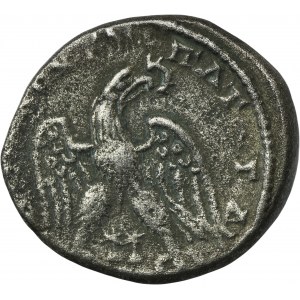 Roman Provincial, Phoenicia, Akko-Ptolemais, Caracalla, Tetradrachm