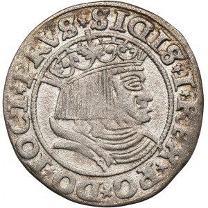 Zikmund I. Starý, Grosz Toruń 1531 - PRVS/PRVSS