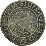 Sigismund I the Old, Groschen Thorn 1535 - PRVSSIE/PRVSSIE