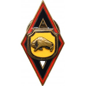 Commemorative badge of the 5th Borderland Sapper Battalion of the 5th Kresowa Infantry Division