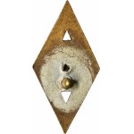 Pamätný odznak 5. sapérskeho práporu 5. pešej divízie Kresy