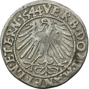 Silesia, Duchy of Liegnitz-Brieg-Wohlau, Friedrich II, Groschen Leignitz 1544 - RARE