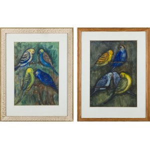 Włodzimierz SAWULAK (1906-1980), Para prac - Moje Papużki, II Studium - Ptaki