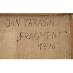 Jan TARASIN, Fragment, 1976