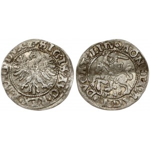 Lithuania 1/2 Grosz 1546 Vilnius. Sigismund II Augustus (1545-1572). Obverse Lettering: SIGIS AVG REX PO MAG DVX L...