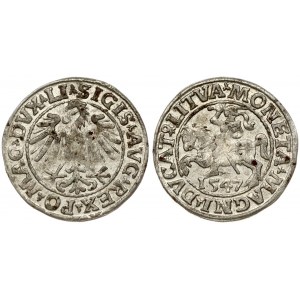 Lithuania 1/2 Grosz 1547 Vilnius. Sigismund II Augustus (1545-1572). Obverse Lettering: SIGIS AVG REX PO MAG DVX LI...