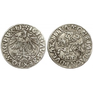 Lithuania 1/2 Grosz 1551 Vilnius. Sigismund II Augustus (1545-1572). Obverse Lettering: SIGIS AVG REX PO MAG DVX LI...