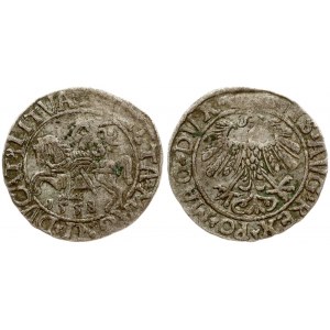 Lithuania 1/2 Grosz 1558 Vilnius. Sigismund II Augustus (1545-1572). Obverse Lettering: SIGIS AVG REX PO MAG DVX ?...