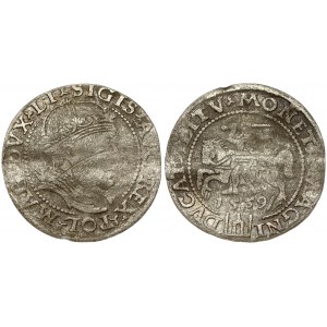 Lithuania 1 Grosz 1559 Vilnius. Sigismund II Augustus (1545-1572). Obverse: Crowned bust facing right. Reverse...