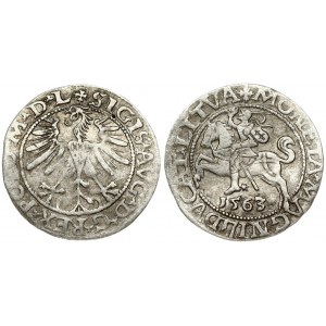 Lithuania 1/2 Grosz 1563 Vilnius. Sigismund II Augustus (1545-1572). Obverse Lettering: SIGIS AVG REX PO MAG DVX LI...