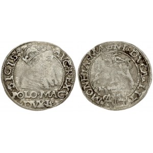 Lithuania 1 Grosz 1566 Tykocin. Sigismund II Augustus (1545-1572). Obverse: Crowned bust facing right. Reverse...