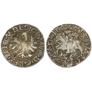 Lithuania 1/2 Grosz 1566 Tykocin. Sigismund II Augustus (1545-1572). Obverse Lettering: SIGIS AVG REX PO MAG DVX L...