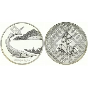 Belarus 20 Roubles 2007 Dniepra - Sozhsky. Obverse: Against the background of ornamental canvas...