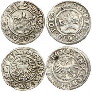 Poland 1/2 Grosz (1501-1508). Alexander Jagiellon (1501–1506) & Sigismund I the Old (1506–1548). Obverse: Eagle...