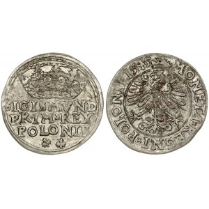 Poland 1 Grosz 1545 Krakow. Sigismund I the Old(1506–1548). Obverse Lettering: SIGISMVND PRIM*REX POLONIE...