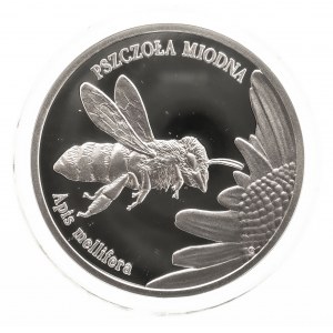 Poland, Republic since 1989, 20 gold 2015, Honeybee