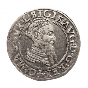 Polska, Zygmunt II August (1545-1572), czworak 1566, Wilno.