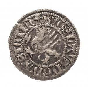 Pomoransko, Boguslaw X (1478-1523), Szeląg 1489, Gardziec