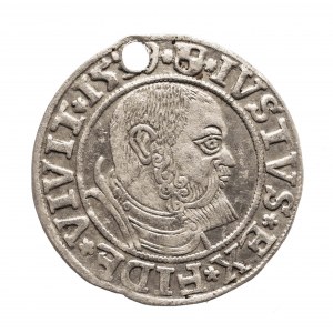 Kniežacie Prusko, Albert Hohenzollern (1525-1568), penny 1539, Königsberg