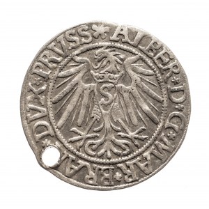 Kniežacie Prusko, Albert Hohenzollern (1525-1568), penny 1539, Königsberg