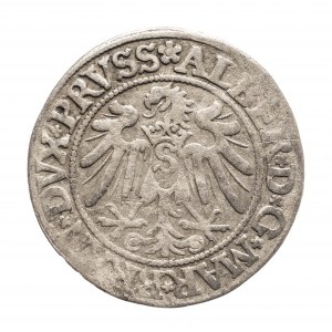 Kniežacie Prusko, Albrecht Hohenzollern (1525-1568), pruský groš 1534, Königsberg