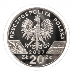 Polska, Rzeczpospolita od 1989 roku, 20 złotych 2007, Foka Szara