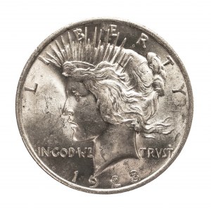 Stany Zjednoczone Ameryki (USA), 1 Peace dolar 1923, menniczy