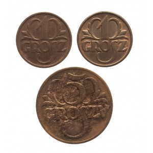 Polska, II Rzeczpospolita (1918-1939), zestaw 3 monet groszowych, Warszawa.
