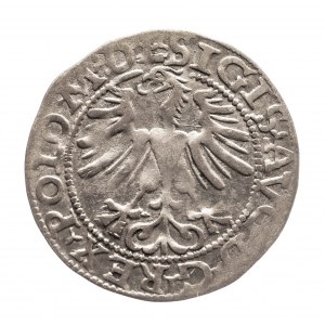 Polska, Zygmunt II August (1548-1572), półgrosz 1565 - L/LITV, Wilno